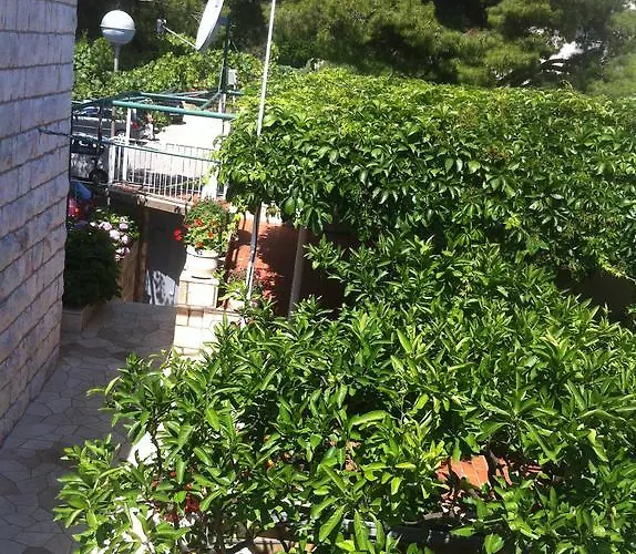 Jelena בית הארחה דוברובניק