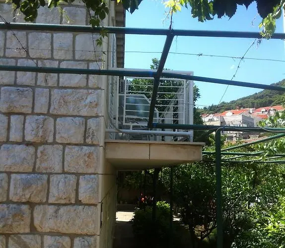 Jelena דוברובניק